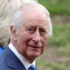 King Charles Hopes Prince Harry Doesn't Ruin VE Day Commemoration