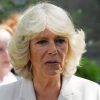 Queen Camilla Is Still Trolling Meghan Markle Over One Of Her Biggest Failures