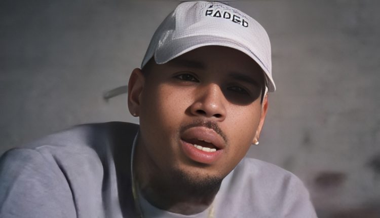 Singer Chris Brown – DJBreezybr – YouTube