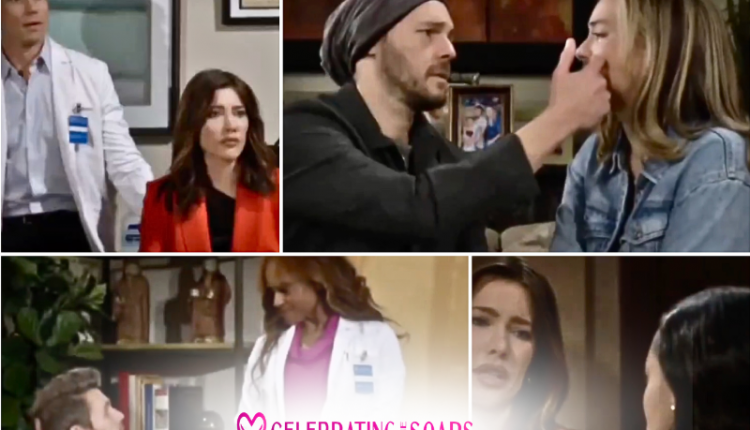 Bold-Preview-weekly