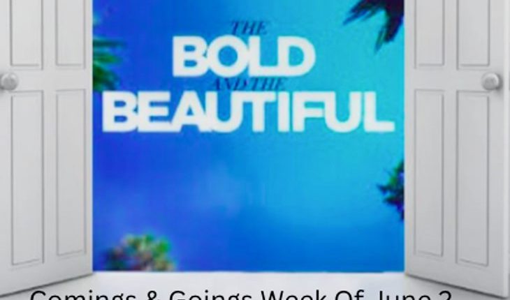 The Bold The Beautiful