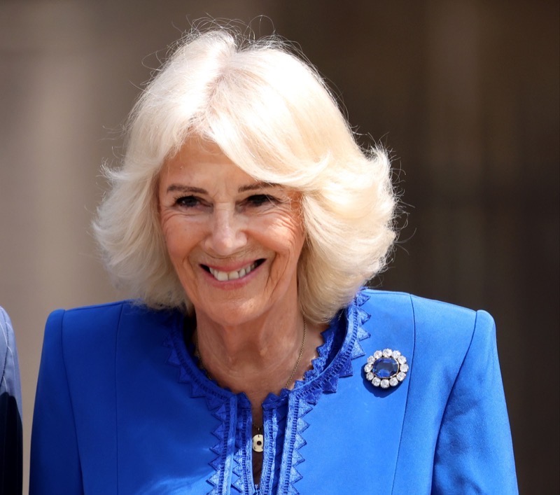 Queen Camilla Is Putting Her Foot Down When It Comes To Harry And Meghan
