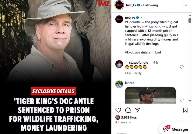 Fans React To Antle On Instagram - TMZ