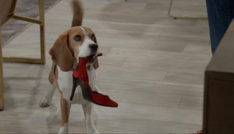 General Hospital Recap 0714 04