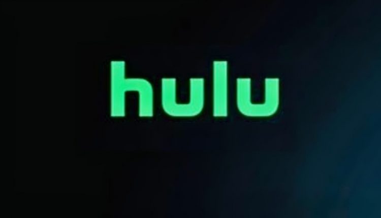 Hulu and DisneyPLus Will Air Are You My First – YouTube