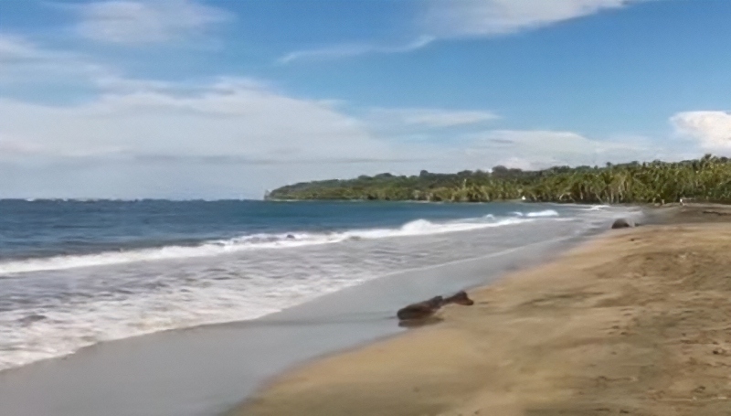 The beach in Costa Rica - ABC - YouTube
