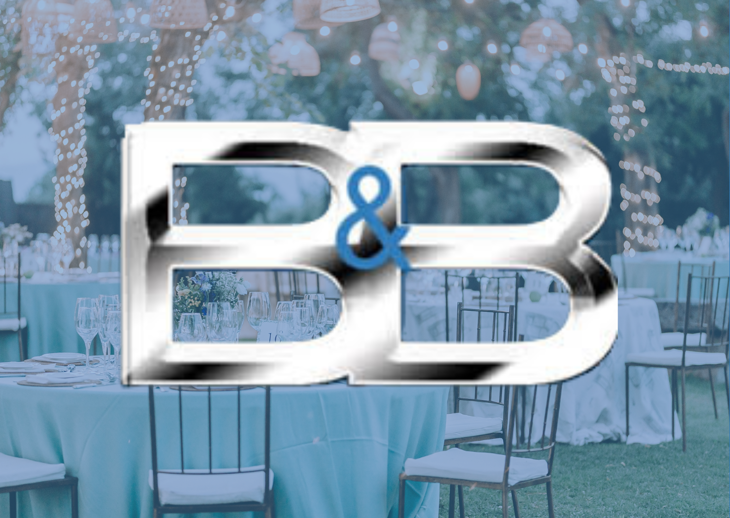 The Bold and the Beautiful