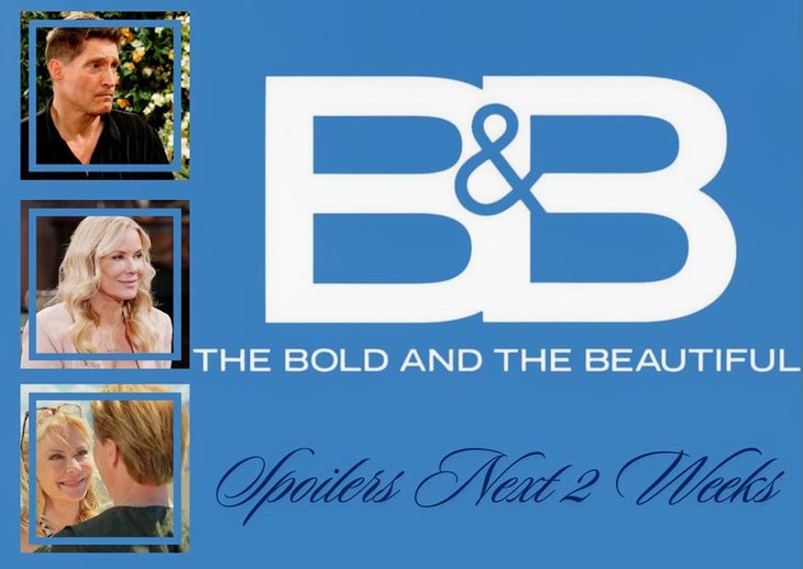 The Bold And The Beautiful Spoilers Next 2 Weeks: Deacon’s Party, Brooke’s Proposal Answer