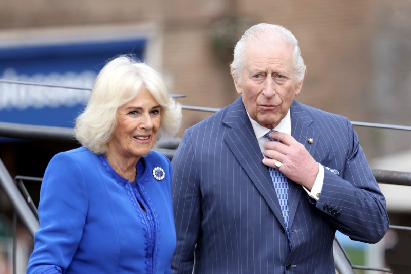 Queen Camilla Wants Prince William To Stop Creating Issues