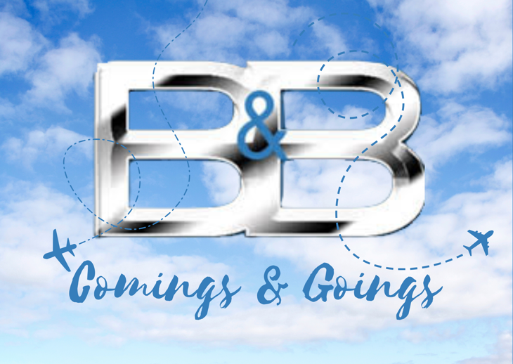 The Bold and the Beautiful