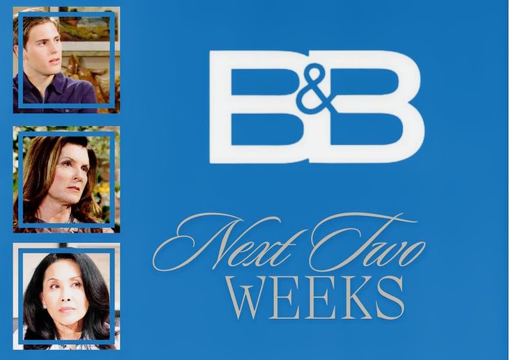 The Bold And The Beautiful Spoilers Next 2 Weeks: Will’s Mistake, Sheila’s Search, Li’s Damage Control