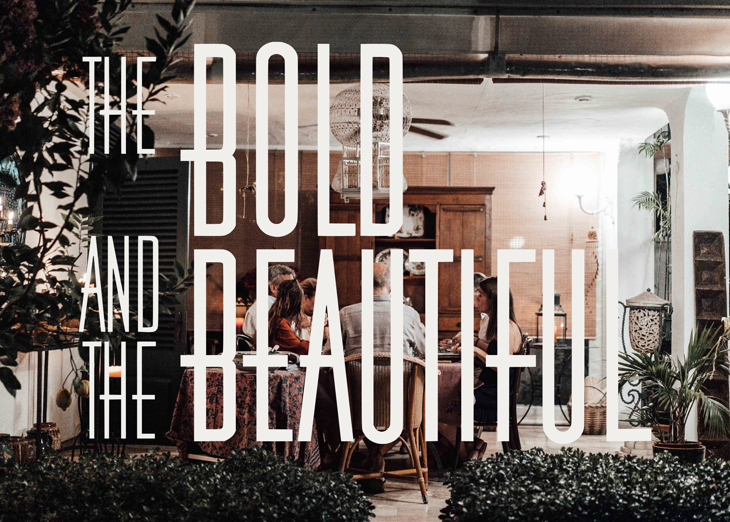 The Bold and the Beautiful