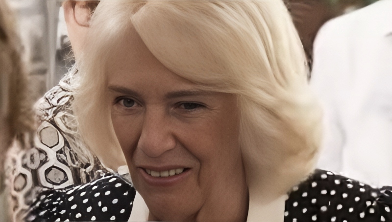 Queen Camila Protects King Charles From Prince Harry - Royal Family Channel - YouTube