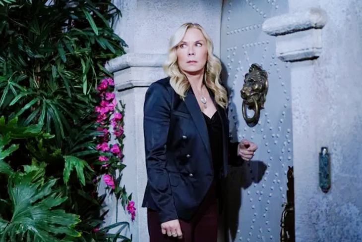 The Bold And The Beautiful Spoilers: Brooke Logan Has A Target On Her Back, Who Strikes