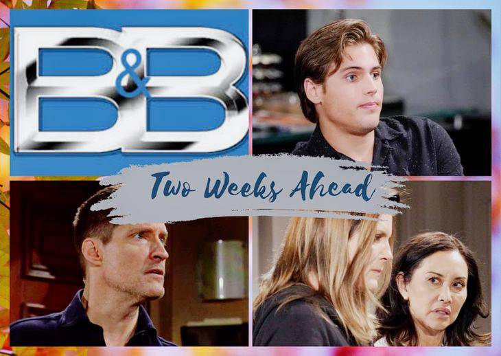  The Bold And The Beautiful Spoilers Next 2 Weeks: Will Confesses, Deacon’s Therapy, Li vs Sheila