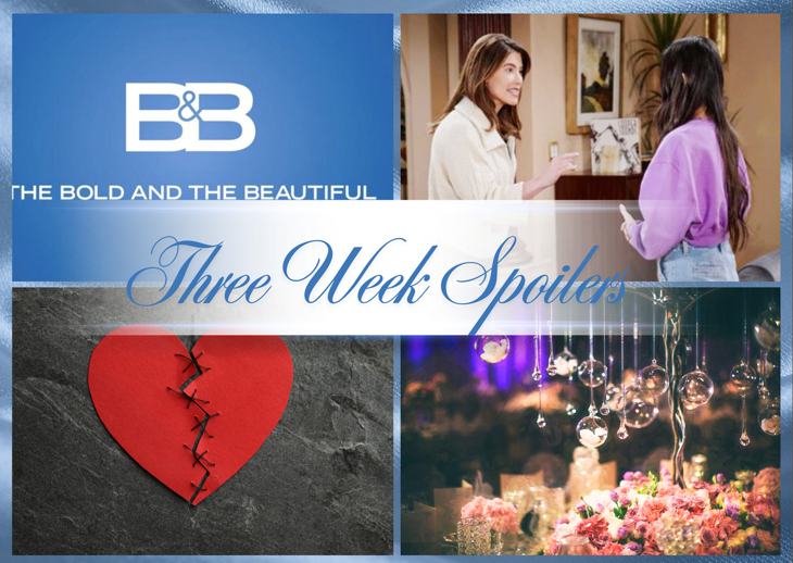 The Bold and the Beautiful