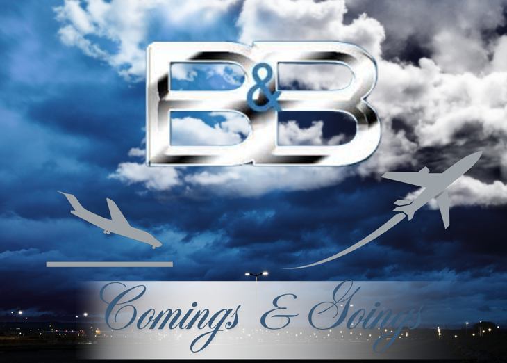 The Bold and the Beautiful