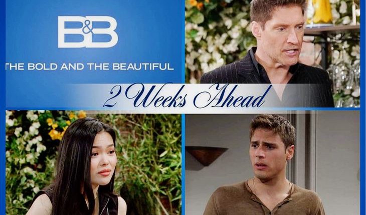 The Bold And The Beautiful