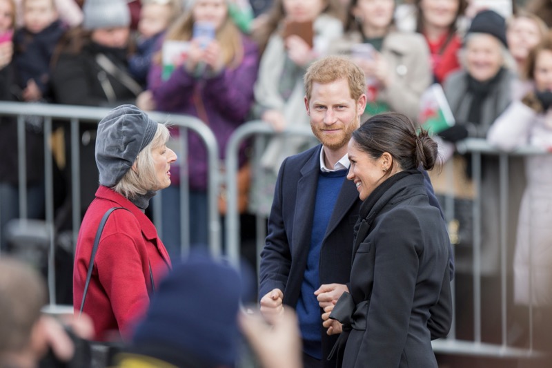 Prince Harry And Meghan Have Always Wanted To Monetize the Monarchy and Their Titles