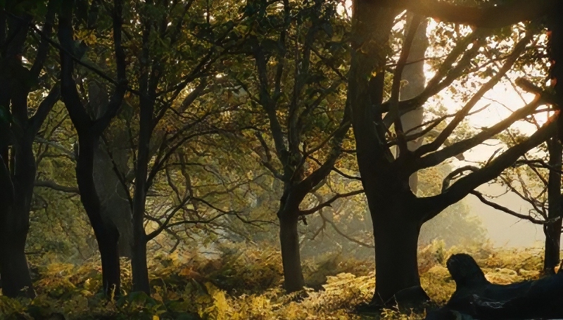 Beautiful fall reflections - Mother Nature Autum - The Prince and Princess of Wales - YouTube