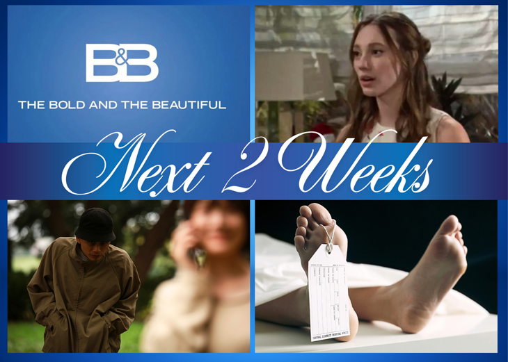 The Bold and the Beautiful