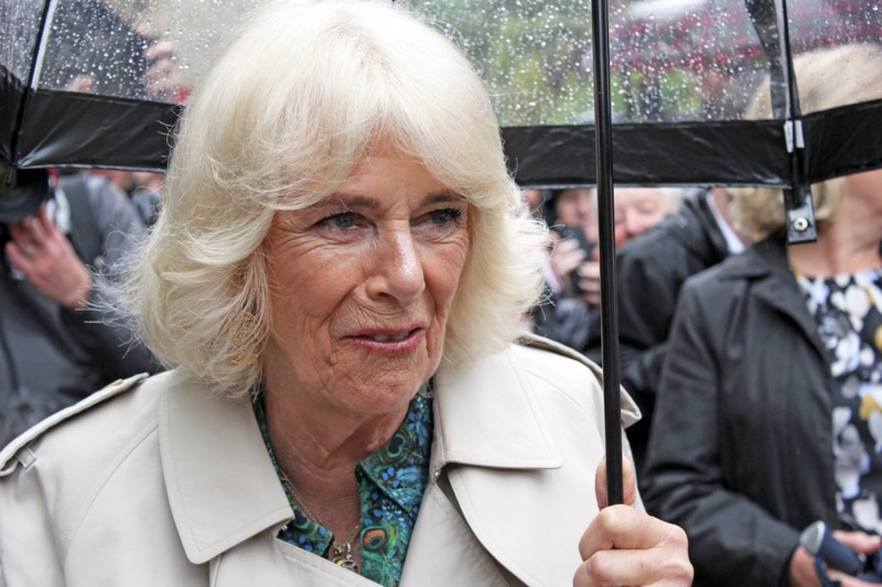 Queen Camilla Blames Meghan Markle For Royal Family Split