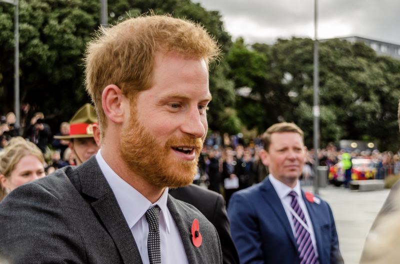 Prince Harry Punched Uncle Andrew's Nose Over Rude Meghan Markle Remarks?
