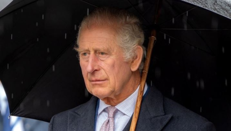 The monarch relates to others with cancer - YouTube