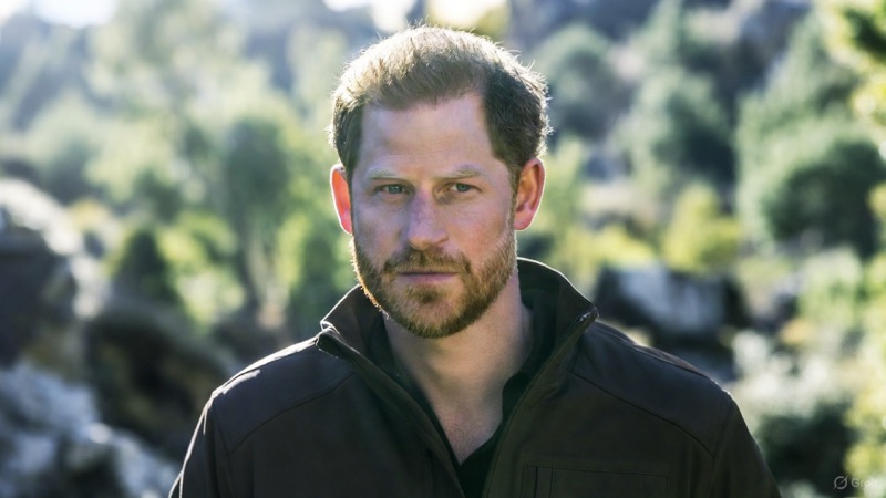 This Is What Prince Harry Can Expect When His Brother William Becomes King