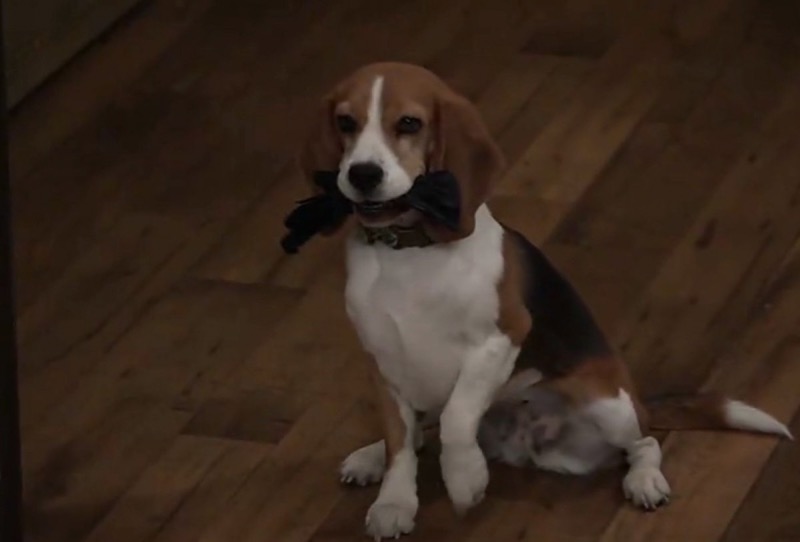 'General Hospital' Recap December 22: Jason Saves Britt, Portia Subpoenaed, Cody And Molly Kissed!