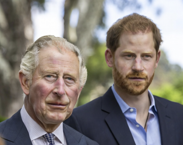 King Charles And Prince Harry Take A Huge Step Back In Their Reconciliation Efforts