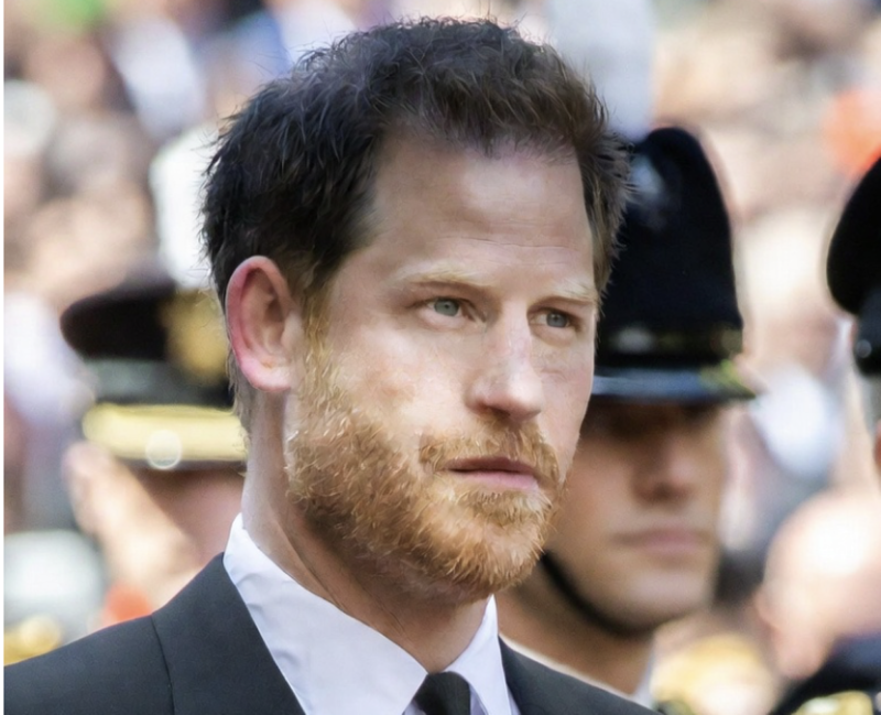 Prince Harry Secretly Begging King Charles To Take Him Back