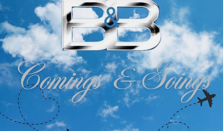 The Bold And The Beautiful