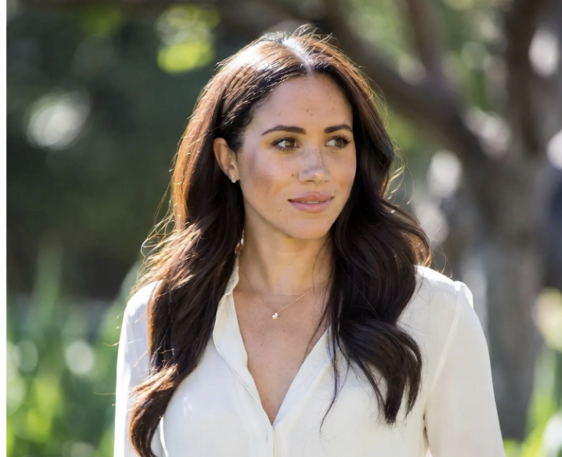 Meghan Markle’s Media Backlash Might Be Because Of Prince Andrew