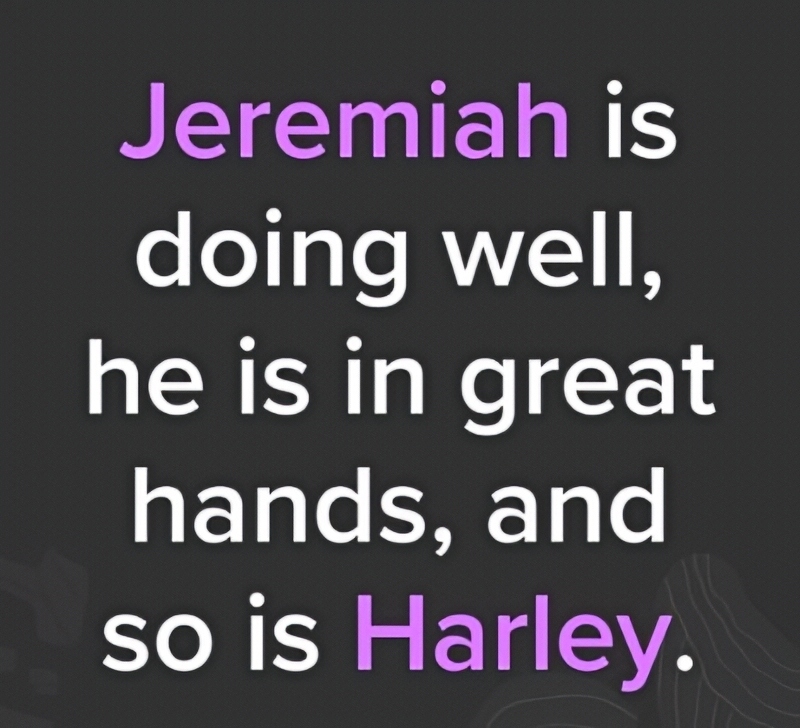 Amish Donuts update - TikTok