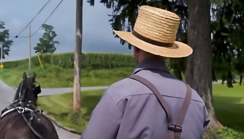 Leaving the modern world behind - TLC