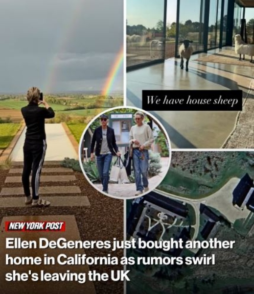 Ellen returns stateside - New York Post - Instagram