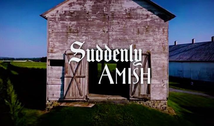 Suddenly Amish
