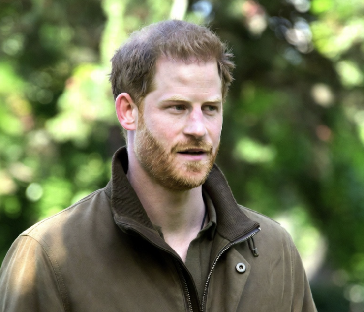 Does Prince Harry's Attacks On US President Donald Trump Have Anything To Do With His Ongoing Immigration Case