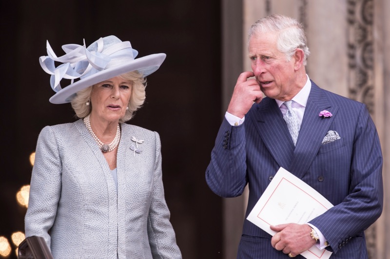 Queen Camilla Angered Over King Charles’s Silence Over Prince Andrew