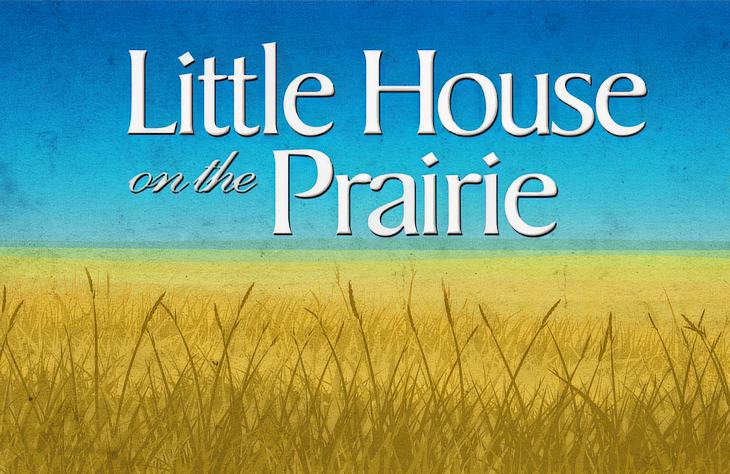 Little House On The Prairie Royalty Joins When Calls The Heart Cast