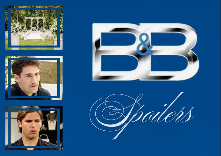 The Bold and the Beautiful Spoilers Wed, Feb 11: Impromptu Wedding, Job Offer, Will’s Fury&nbsp;