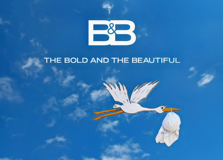 The Bold And The Beautiful Spoilers: This Character Might Be Pregnant!