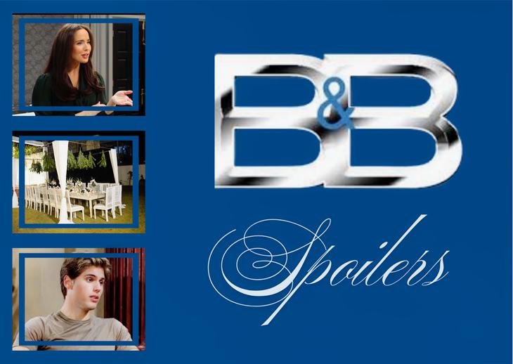The Bold and the Beautiful Spoilers Fri, Feb 13: Ivy’s Excuse, Wedding Night, Will’s Impossible Choice&nbsp;