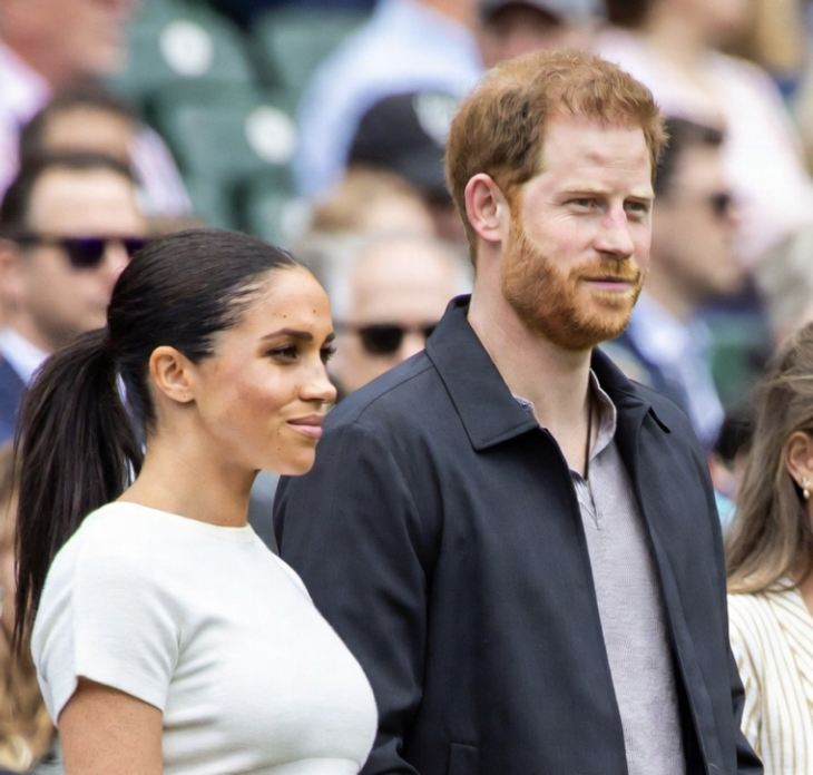 Are Prince Harry And Meghan Markle Finally Giving Up Their Royal Titles?