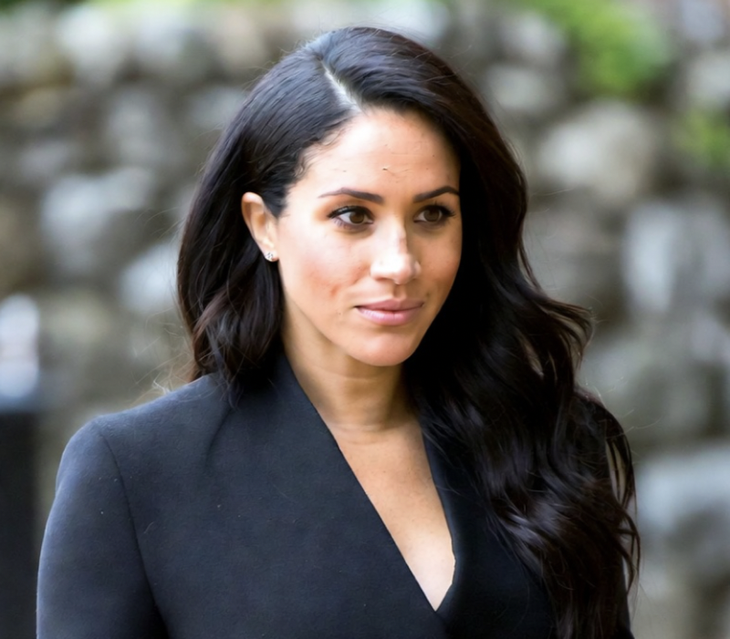 Meghan Markle Wants To Protect Her Children From ‘Royal Monsters’