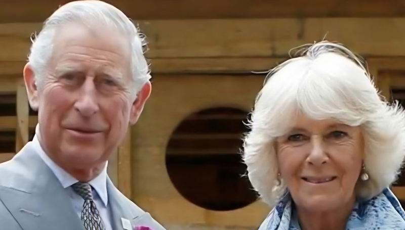 King Charles the dad of Prince Harry and Queen Camila - YouTube