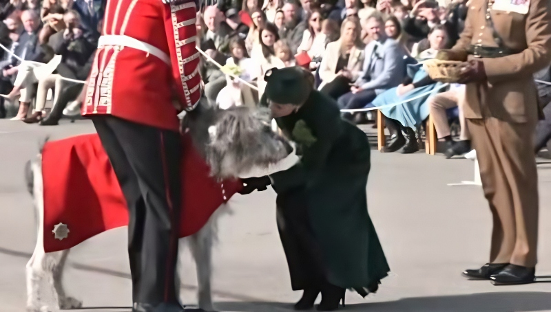 The famous regimental wolfhound mascot - Royal Family Channel - YouTube
