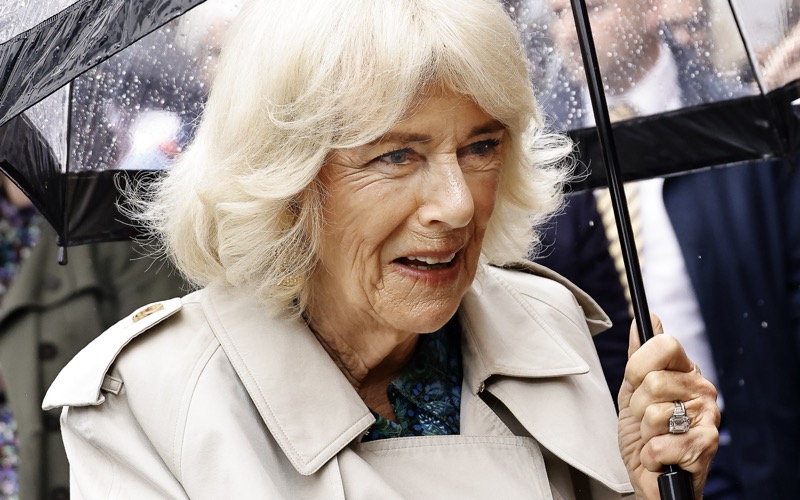 Queen Camilla Mocked And Ridiculed For Her Wrinkles
