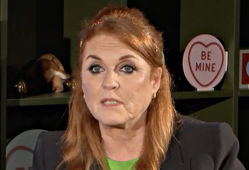 Sarah Ferguson Has Just Gotten Rejected By This Person